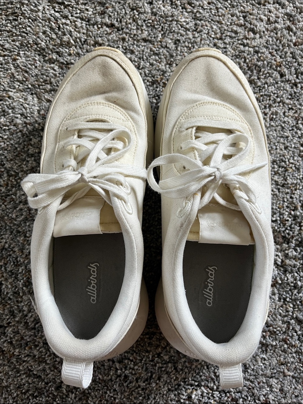 Allbirds Courier